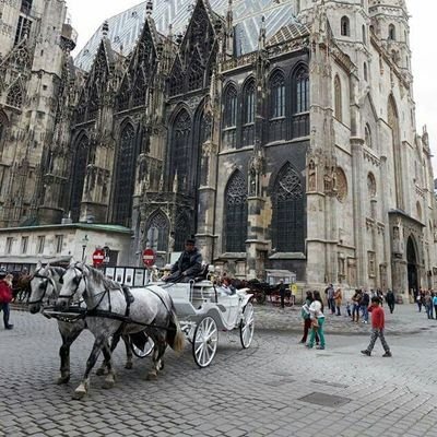 DannyBoy8852's profile picture. 