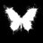 xli274zzy4