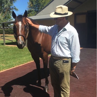 Bloodstock Agent based in Newmarket UK specialising in Australasian, American, S American and HK markets +447718346806