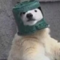Teddy (@tedyybeargamer) 's Twitter Profile