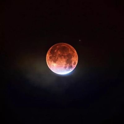 N_apoet's profile picture. Sou gente boa