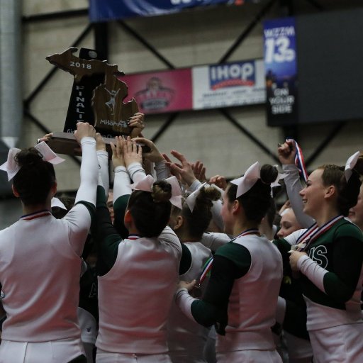 Allen Park Cheer- 2017, 2010 D2 Competitive Cheer State Champions. Runner-up 2008, 2016, 2018, 2019. 16x-State Finalist-currently 15th consecutive year.