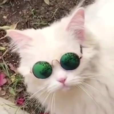 blueberry_exe's profile picture. yo