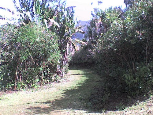 GoGreeeeeen's profile picture. 