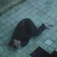 Тот самый преданный фанат l 7,8к (@fantomchannel) 's Twitter Profile