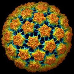 _manybuds's profile picture. Some items that don't exist outside of human mind: free, God, just, human rights, left & right. There's no blue color, no sweet flavor, no free will. There's 🍻