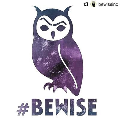 Be Wise Inc.