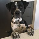 nathan polk - @nathanpolk13 - Twitter