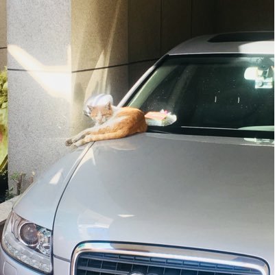 QEOGFX6ckxTkQyR's profile picture. 