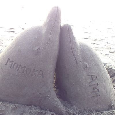 Hiqqx51SY1WN2eT's profile picture. やっと成人。好きだと思ったらなんにでも飛びつく雑食です。