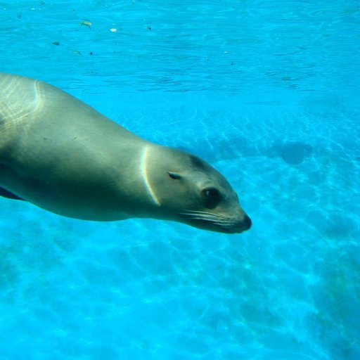 seeliang_'s profile picture. The log of my findings in tech, AKA: Sihui / SeeWay