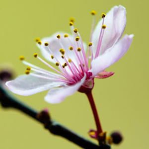 april_allterior's profile picture. Hier twittert april allterior furniture (Marsha Kömpel und Florian Asche) über Designer-Möbel für den Innen- und Außenbereich.