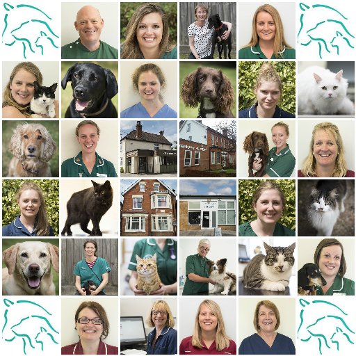 Providing a professional, caring veterinary service to our clients and their animals #LovePets