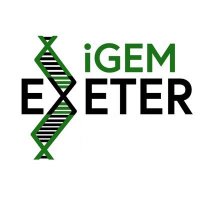 Exeter iGEM 2019 (@exeter_igem) 's Twitter Profile