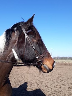 RoselynnHallig1's profile picture. 