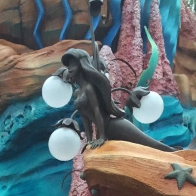 たぴおからりぃさんのプロフィール画像