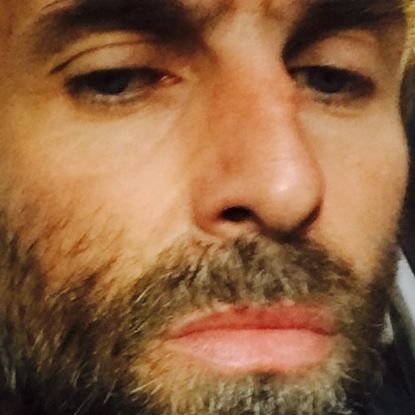 liamgallagher twitter avatar