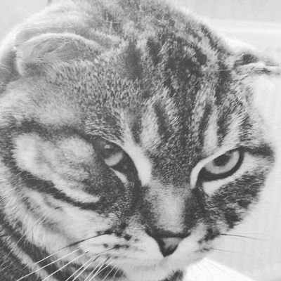 tyou1121's profile picture. я тебя люблю