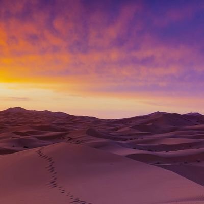 RustClairvoyant's profile picture. ♈ - 11.5 sweeps - HN: Zalois Lukteo