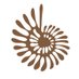 Museo de Historia Natural de Valparaíso (@mhnvalpo) Twitter profile photo Museo de Historia Natural de Valparaíso (@mhnvalpo) Twitter profile photo