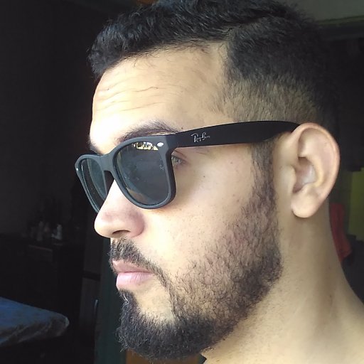Louco... mas que graça teria o mundo se fosse normal?