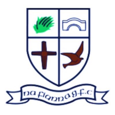 Na Fianna Ladies Profile
