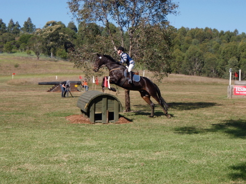 eventingsafety's profile picture. Spreading the word to increase safety for horse and rider in Eventing