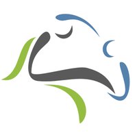Neurodinámica en la Práctica Clínica (@neurodinamicavl) 's Twitter Profile