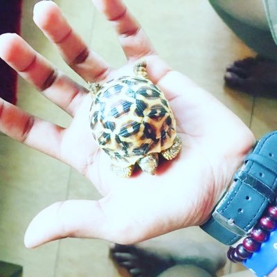 LShashintha's profile picture. 