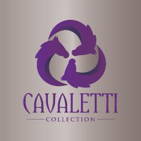 Cavaletti Collection(@Cavalettisaddle) 's Twitter Profileg