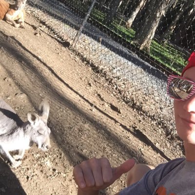 ZackBooton's profile picture. G’day mate 🤙🏼