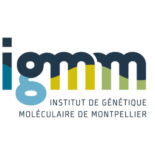 IGMM_Montpel Profile Picture