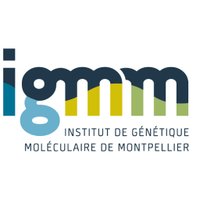 IGMM-Montpellier(@IGMM_Montpel) 's Twitter Profile Photo