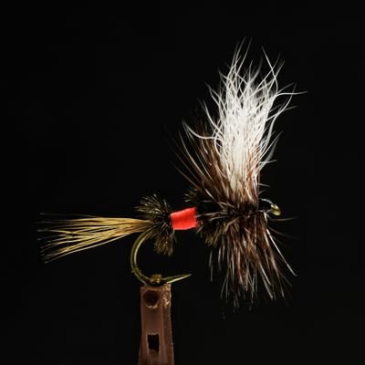 SKflies_Lures's profile picture. Flies and Lures tier/builder. Deer Creek pro staff member! https://t.co/Hapz72Sz9H