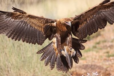 JoeRod0077's profile picture. Authenticity