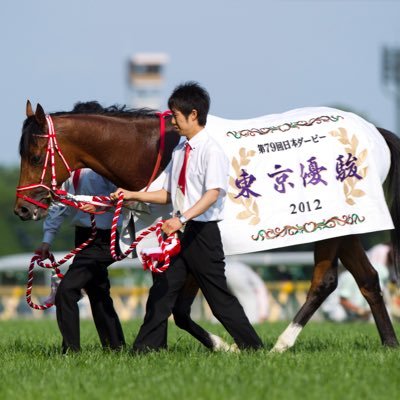 一口馬主やってます 出世頭 ディープブリランテ 現役馬 ウラノメトリア グルーヴビート ジルバーン アールアンドビー