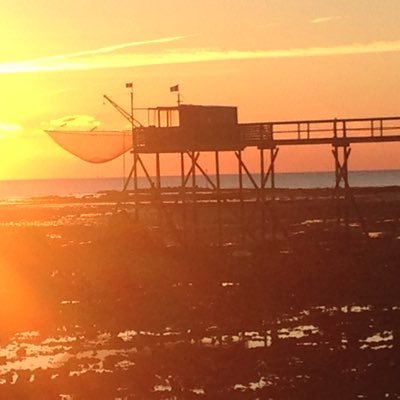 thierrymartin66's profile picture. 