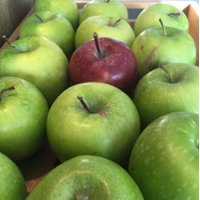 Alan (@alansholliday2) 's Twitter Profile