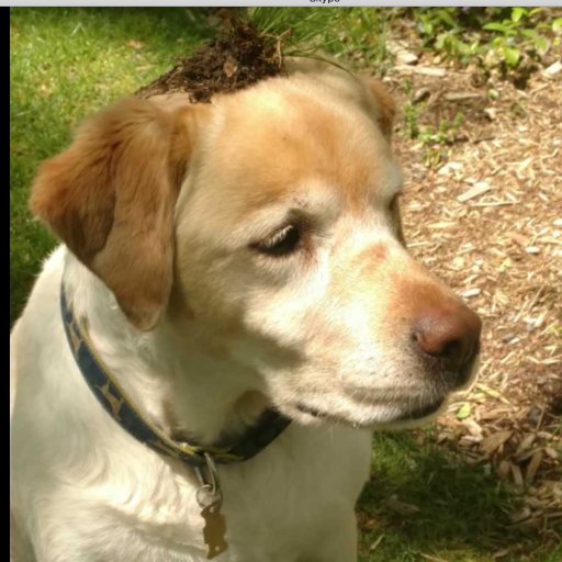 LukeSungela's profile picture. Summer's a knife.