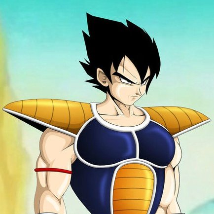 SpawnofBardock's profile picture. Vegeta is the prince of the Saiyan's race. He is the eldest son of King Bardock, And the older brother to Kakarot & Raditz & Many More. #ParodyAccount