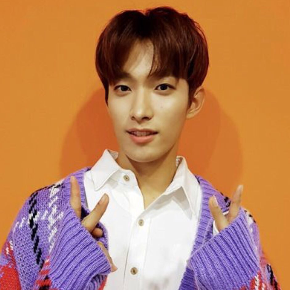 (ć¤Ėµā¢ĢĻā¢Ģ˵)ć¤ā loops of seventeen's #ėź²ø āļ¾.*dtļ¾