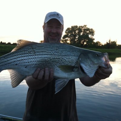 Craig Wiberg Profile