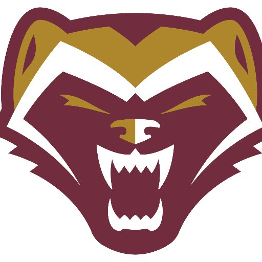 WolverineTrack's profile picture. The official Twitter account for The Walker School's Track and Field team