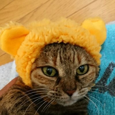 ふーみん 衝撃 エジソンの名言 天才とは1 のひらめきと 99 の努力である これは記者の誤訳 だったらしい 本当の意味が広がって 世界が平和になりますように ㅅ ふーみん 衝撃 エジソンの名言 天才とは1 のひらめきと 99 の努力である これは記者の誤訳 だったらしい 本当の意味が広がって 世界が平和になりますように ㅅ