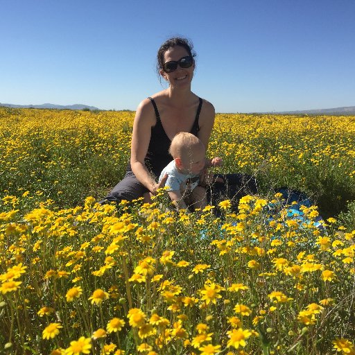 DashiLynn's profile picture. desert plants and critters!