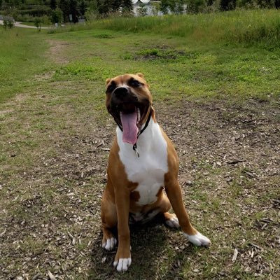 nickf_8's profile picture. 