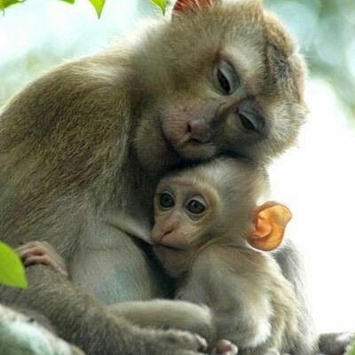 Kelitoral's profile picture. FÉ & GRATIDÃO.!