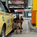 Daniel Mannix - @DanielMannix - Twitter