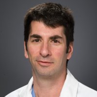 Harold Dauerman (@harrydauerman) 's Twitter Profile