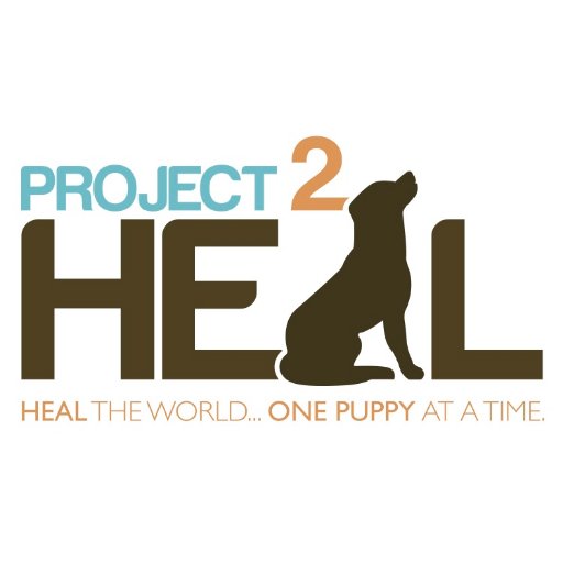 Project 2 Heal's mission is to breed, nurture and train Labrador Retrievers to provide healing for those with physical and emotional challenges.